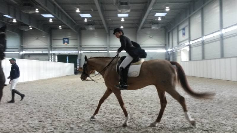 kobieta jeżdżąca na koniu