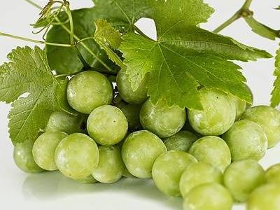 Zielone winogrona